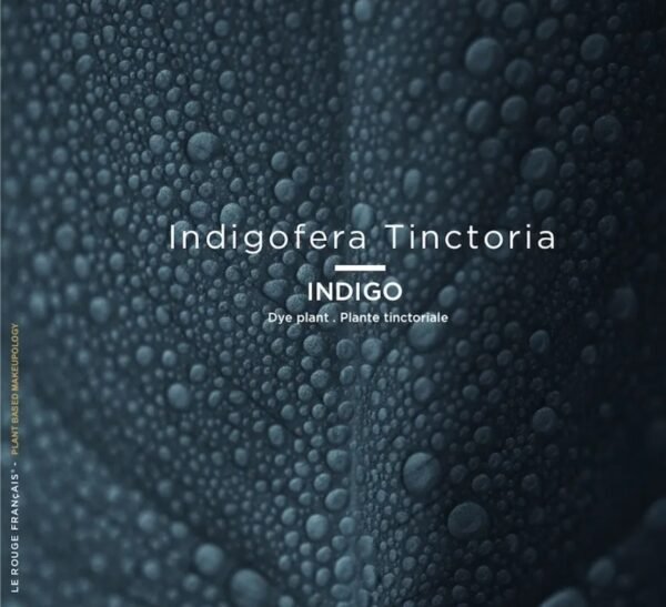 Le Rouge Français Mascara noir vegan, bio, gainant, Le Noir Cassiopée 410