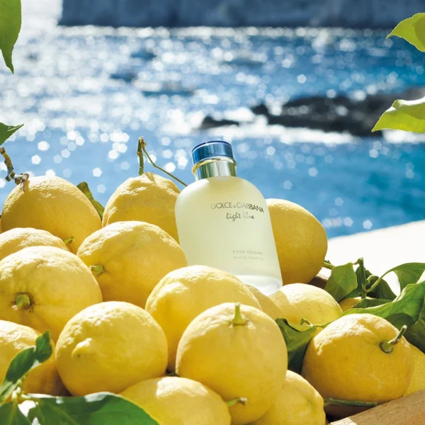 Dolce And Gabbana Light Blue Pour Homme Eau de toilette 125ml