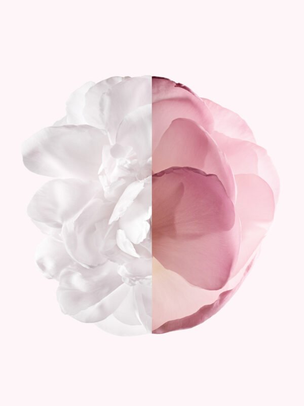 Coffret Givenchy Irresistible Very Floral Eau de Parfum 50ml avec Mini Le Rouge Sheer Velvet 27