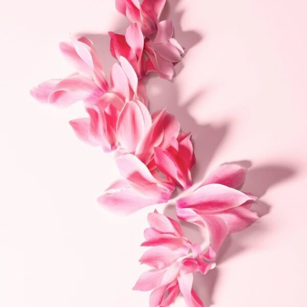 (-44%)Dolce & Gabbana L'Impératrice Eau de Toilette 100 ml