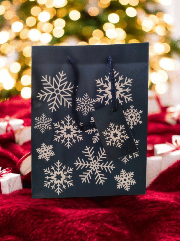 2025/11/6216.png Sac MYSTÈRE VALEUR RÉELLE 30€ Bleu