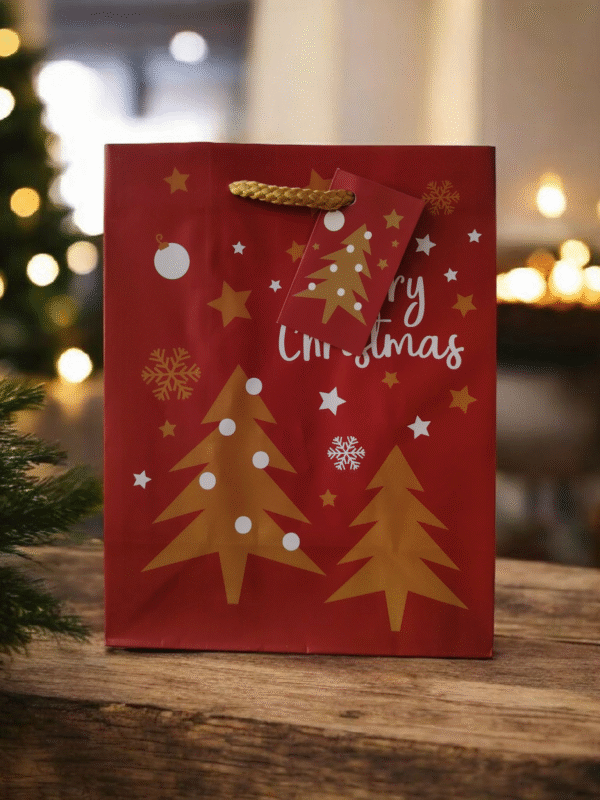 Sac MYSTÈRE VALEUR RÉELLE 30€ Rouge