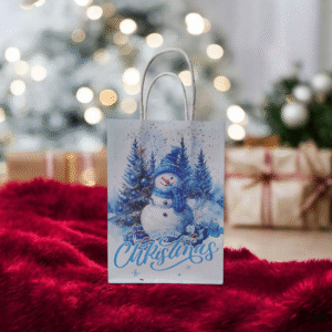 ❄️ Sac Mystère de Noël Enfant – Bonhomme de Neige Magique – Akiplair ❄️