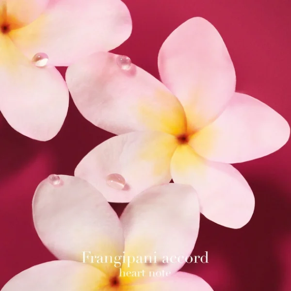 nmYCO81273971-5-ncb-FR Giorgio Armani Power of You- EDP 90 ml Florale Ambrée Fruitée pour Femme