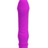 Vibromasseur STEV Pretty Love 11 x 2.8 cm Violet