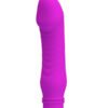 Vibromasseur STEV Pretty Love 11 x 2.8 cm Violet