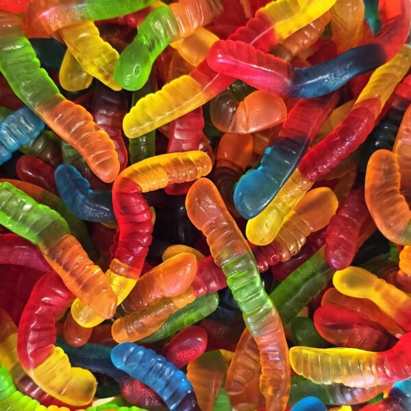 vers-lisse-damel Vers de Terre Lisses Halal 80 gr Damel