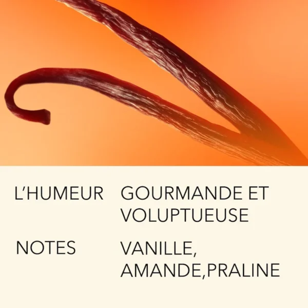 F2V43N1011590-5-ncb-FR L`Atelier Parfum exquise tentation 10 ml