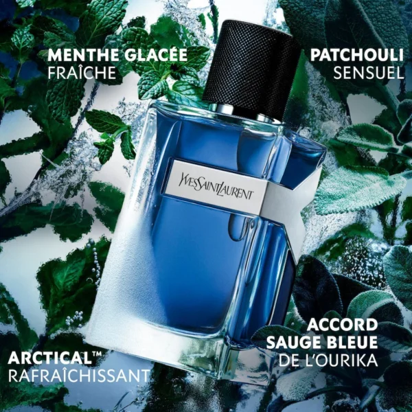 Y Iced Cologne eau de Toilette Intense fougère aromatique pour homme - Yves Saint Laurent